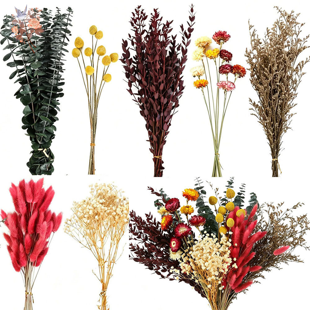 Wedding Supply In Bulk - ドライフラワーの詰め合わせセット。7種類の天然ユーカリの葉を使用。カラフルな花束で、結婚式や花屋さんの仕入れ、リビングの装飾に最適。