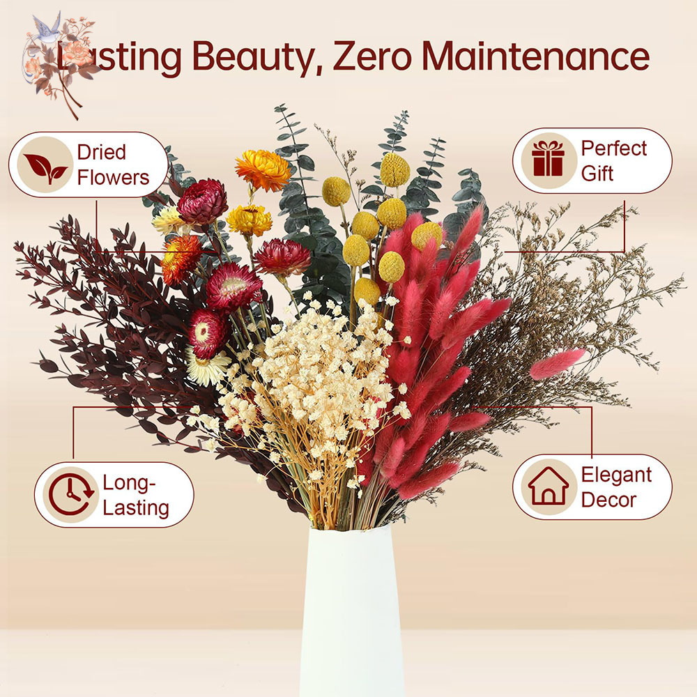 ドライフラワーの詰め合わせセット。7種類の天然ユーカリの葉を - Wedding Supply In Bulk のレビューと価格