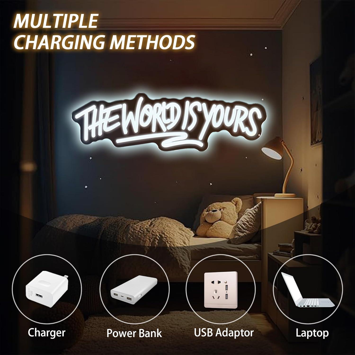 The World is Yours ネオンサイン USB電 - Wedding Led のレビューと価格